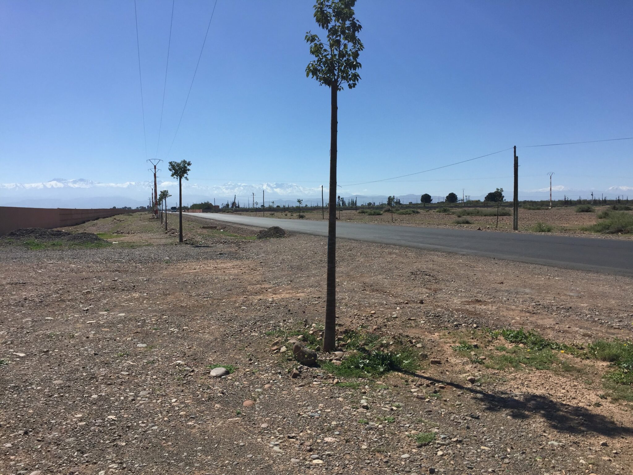 Lots de Terrain pour villas à partir de 1 200 000 DH / Akenza / Marrakech