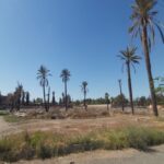 Lots de terrain à vendre/Targa / Marrakech