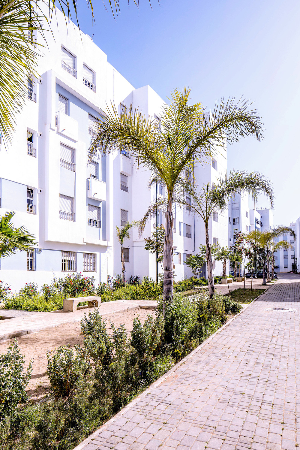 Logements économiques sur AIN AOUDA